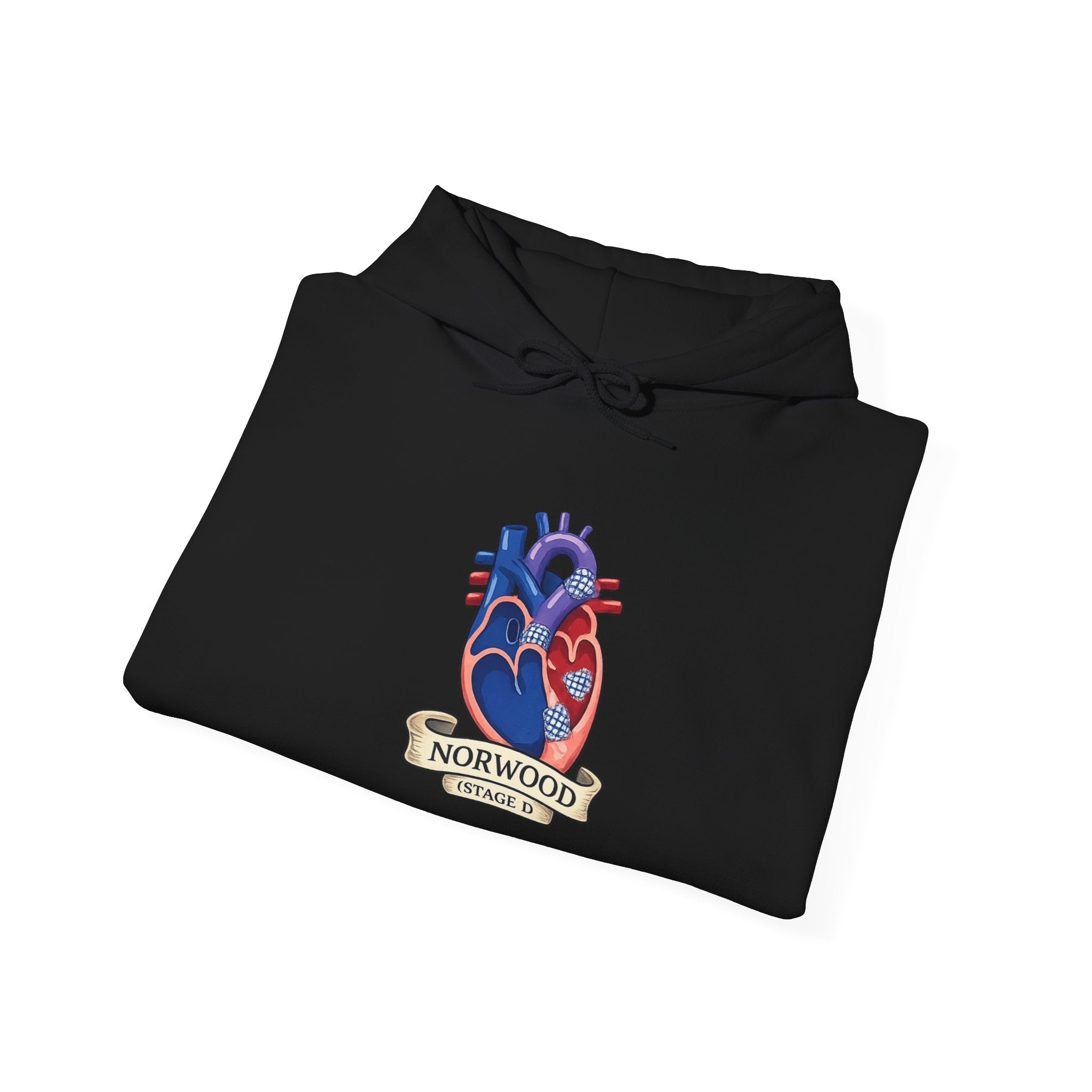 Heart & Gear Norwood Hoodie — Anatomical Heart Vintage Crest Hoodie