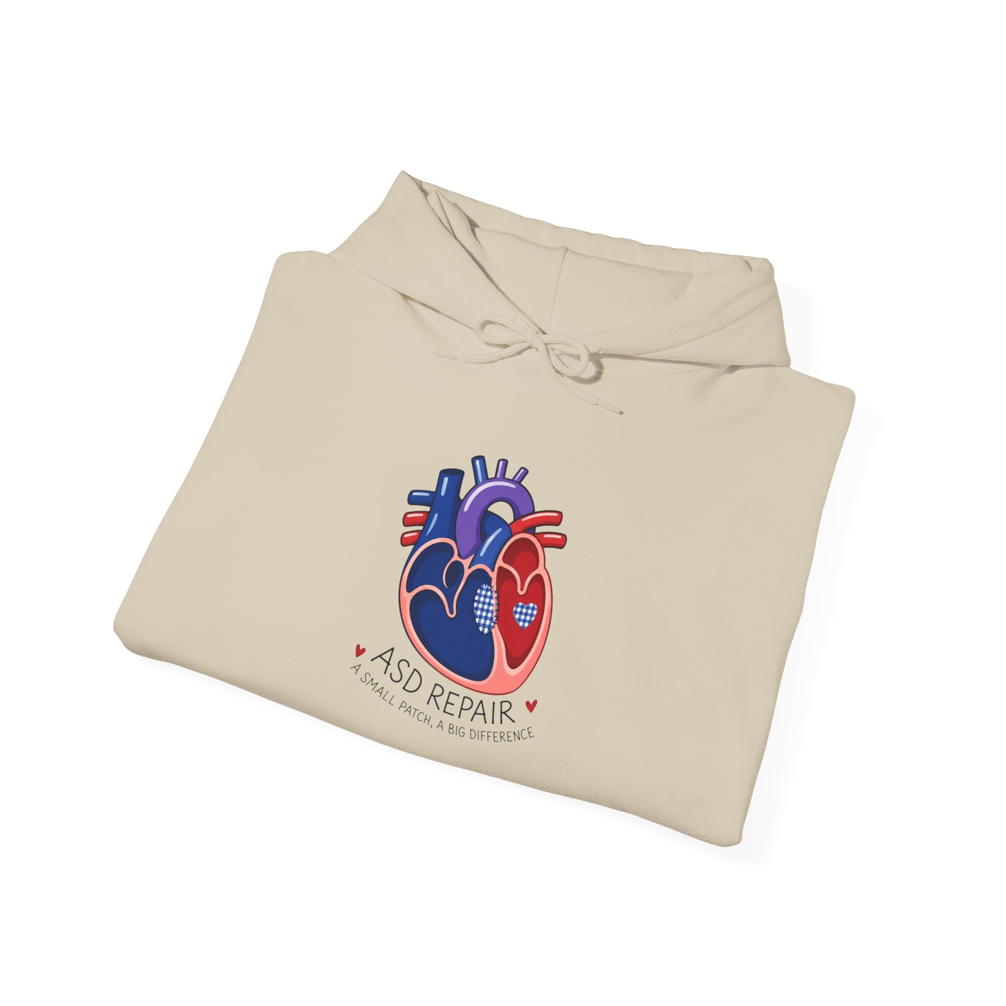 Hoodie — “A Good Heart” Anatomical Heart Graphic Pullover