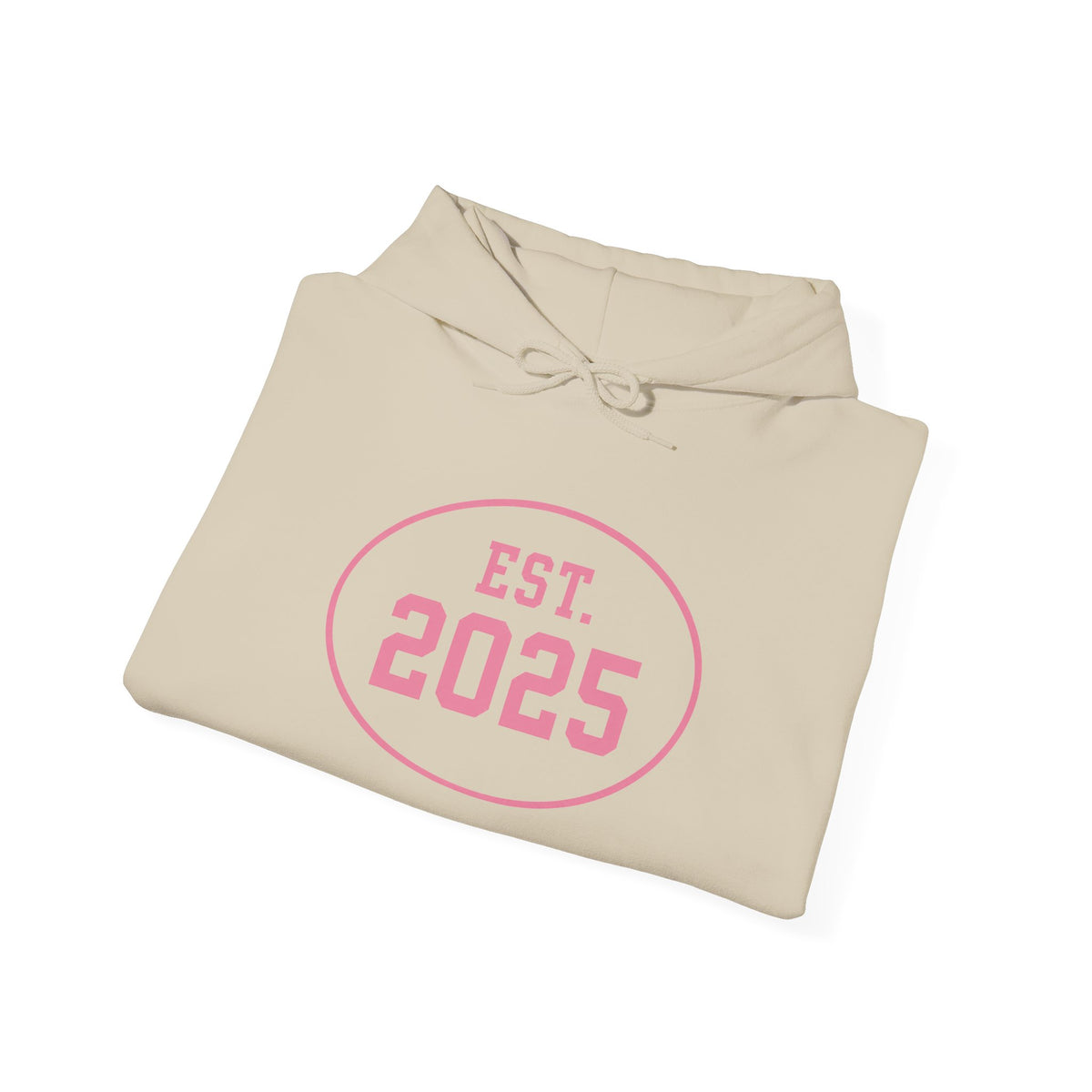 Heart Warrior 2025 Hoodie — EST. 2025 Pink Heart Anatomy Sweatshirt