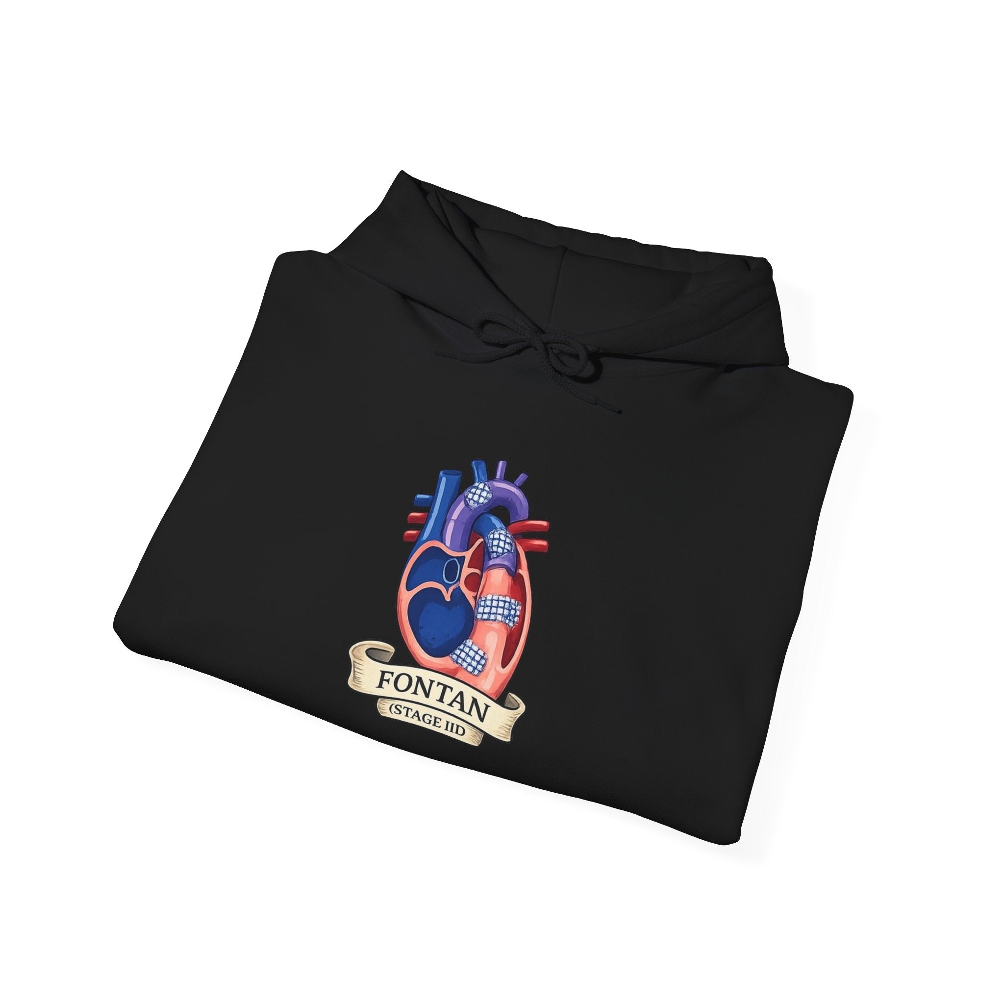 Anatomical Heart Hoodie — 'Fountain of Love' Graphic Pullover