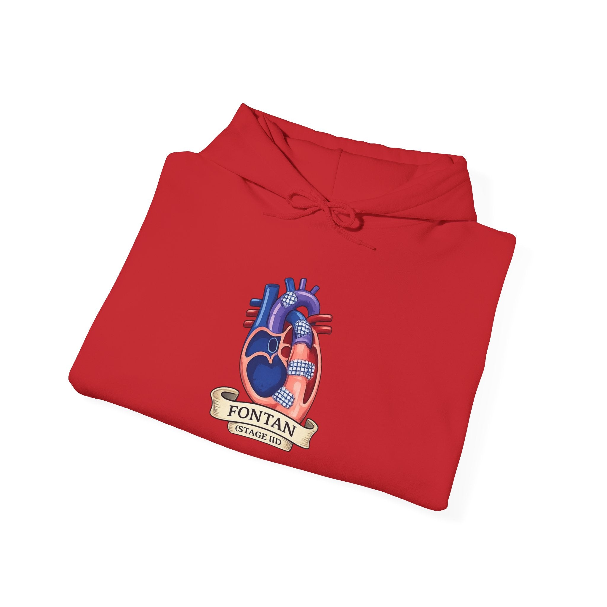 Anatomical Heart Hoodie — 'Fountain of Love' Graphic Pullover